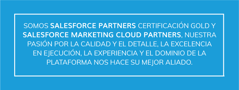 Salesforce Partners