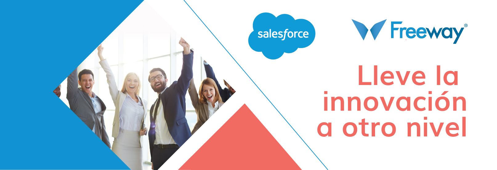 Salesforce partners